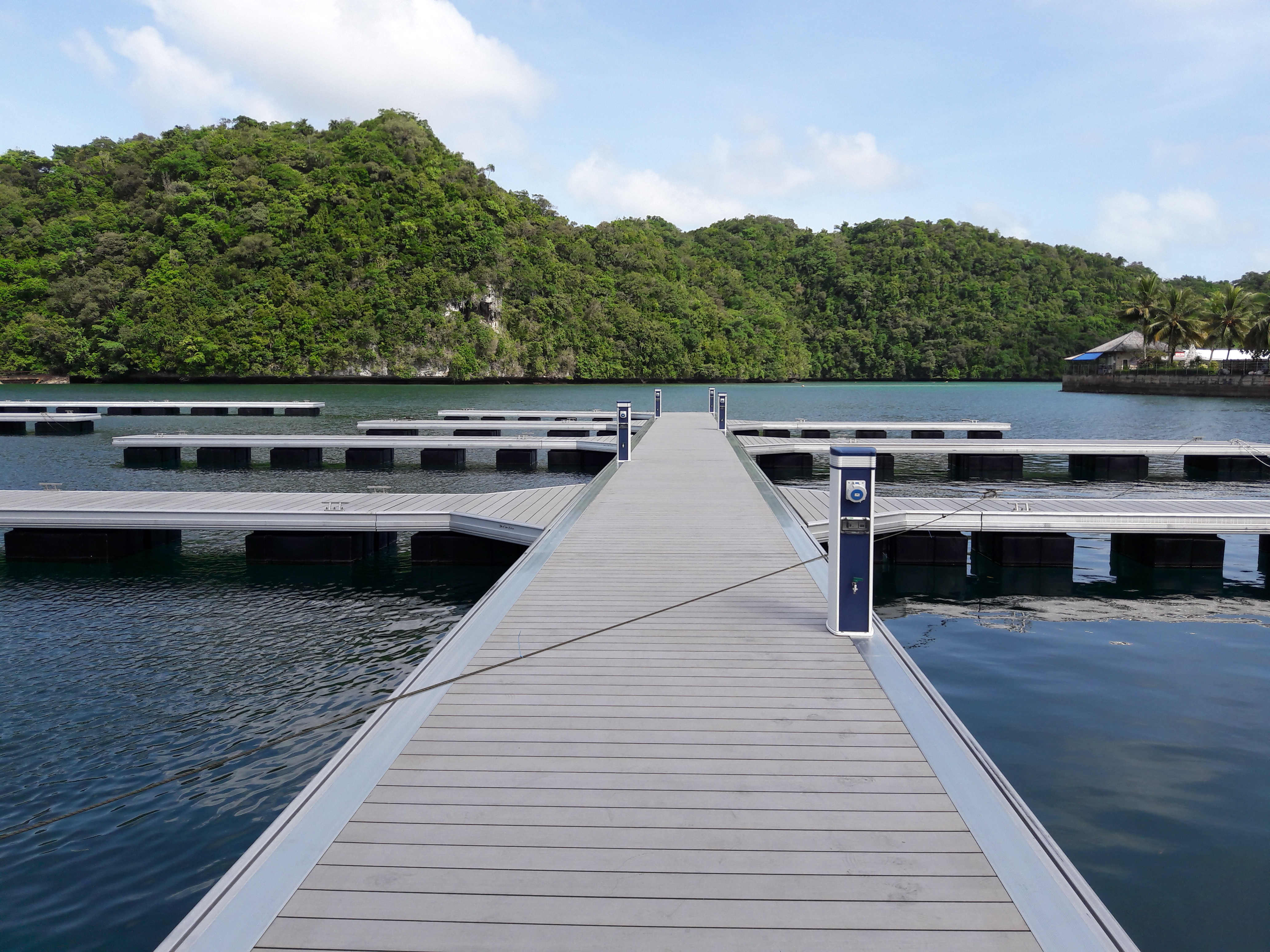 Foshan Dali fishery administration wharf newly added Branch Bridge Wharf